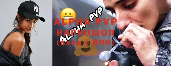 apvp Бородино