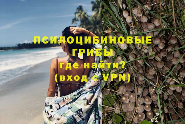 apvp Бородино