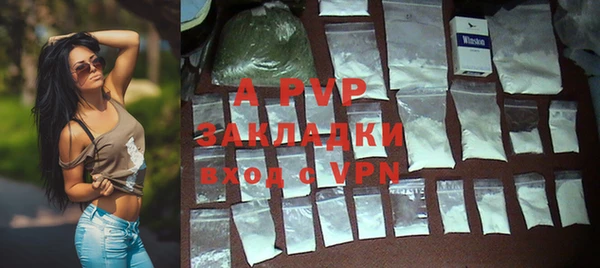 apvp Бородино