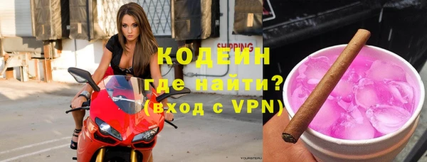 apvp Бородино