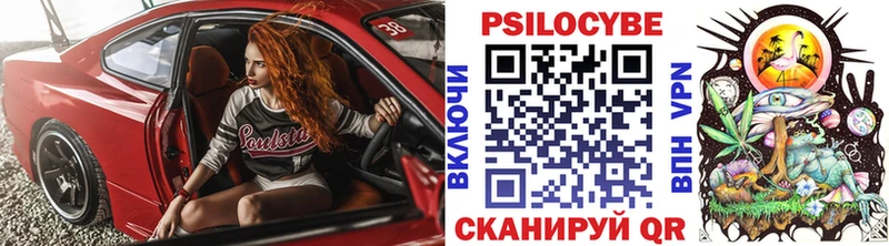 Купить где Баксан Галлюциногенные грибы ЛСД