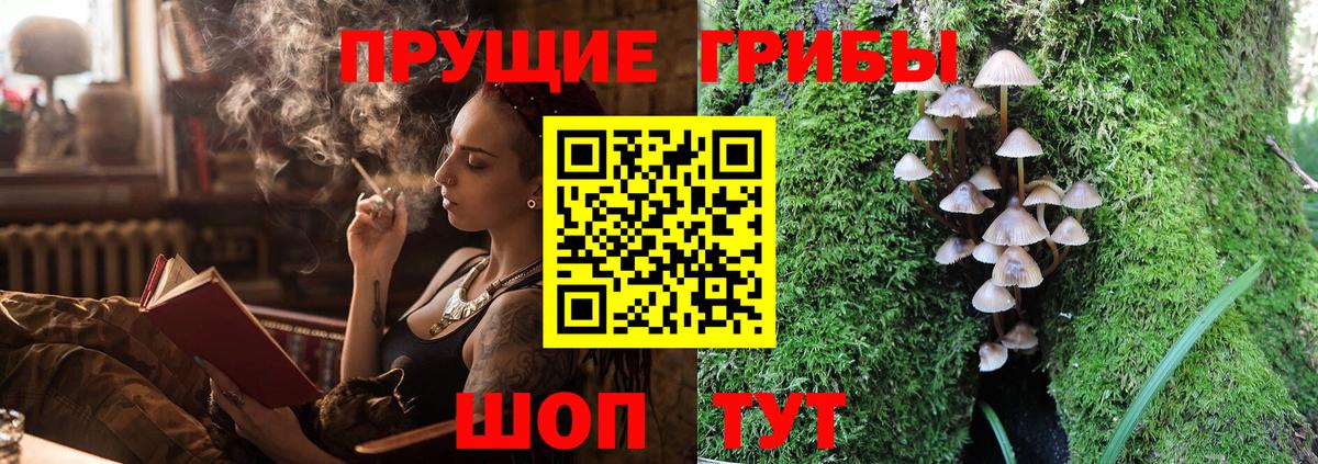 Галлюциногенные грибы Magic Shrooms Баксан