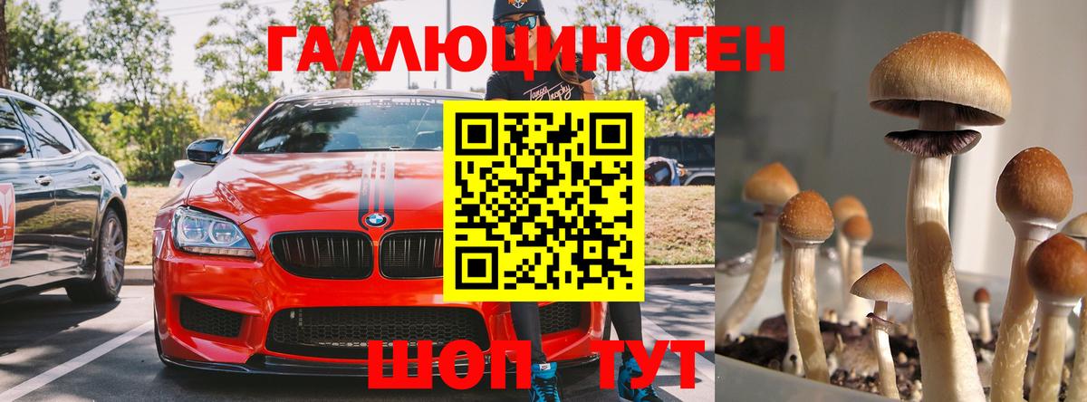 Баксан  Галлюциногенные грибы прущие грибы  Вход с VPN 